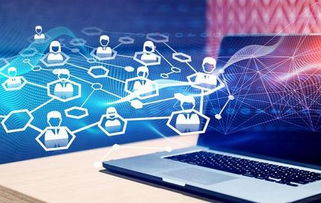 每日一淘系统软件开发与广告设计的融合发展