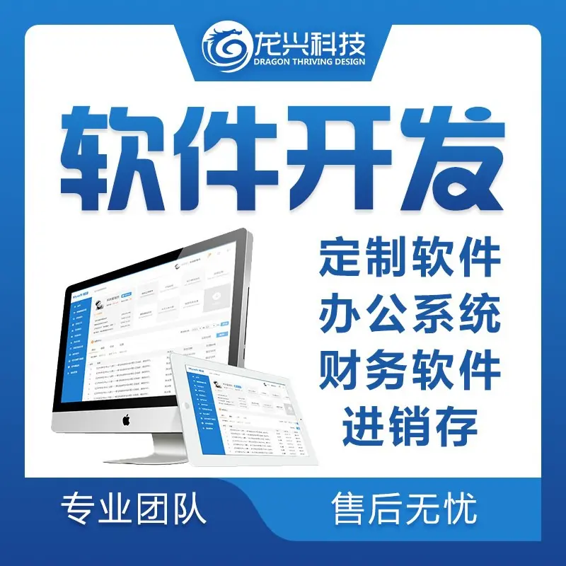 定制软件开发 为何企业应选择量身定制的数字化解决方案